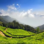 tourist places in south India, hill stations in South India