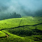 Places To Visit In Monsoon