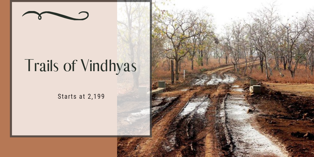 Trail of Vindhyas